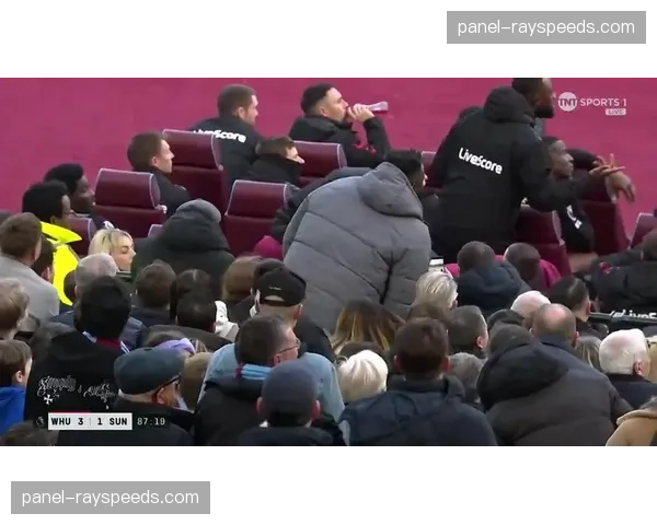 比赛因球迷医疗紧急状况暂停，双方队医迅速入场协助救治