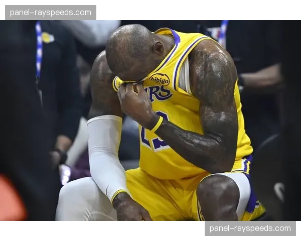 申京否认起身致敬詹姆斯：我站起来只是为了掏东西